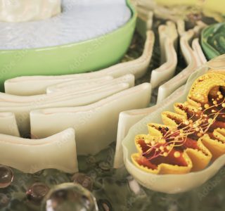 AdobeStock_308974971_Preview